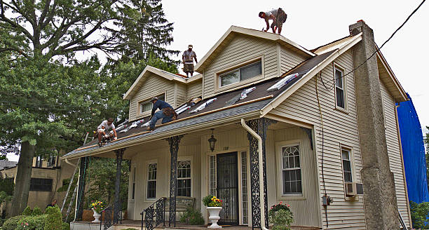 Best Roof Replacement Cost  in , MI